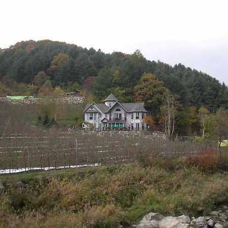 Happy Dream Pension Pyeongchang Eksteriør billede